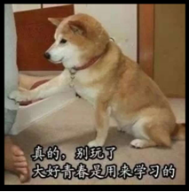 大好青春.png